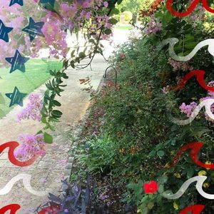 Meet your Posher, Eva